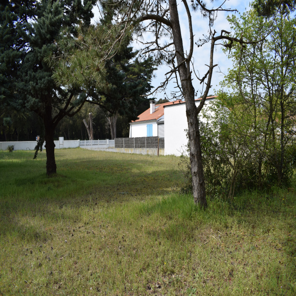 Offres de vente Terrain Notre-Dame-de-Monts 85690