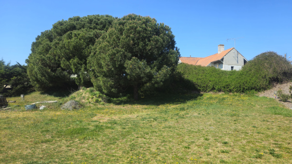 Offres de vente Terrain à batir Notre-Dame-de-Monts 85690