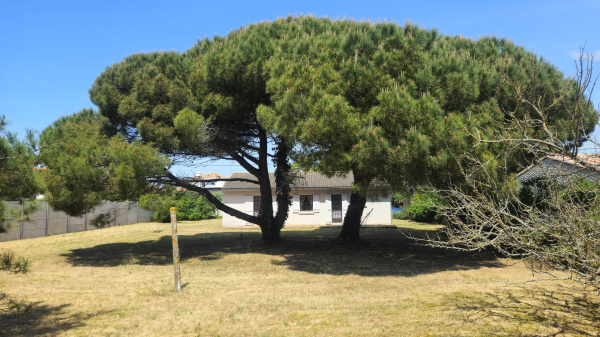 Offres de vente Maison Notre-Dame-de-Monts 85690